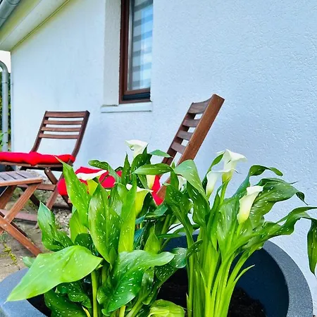 Ferienhaus In Rostock - Brinckmansdorf Buitenkant foto