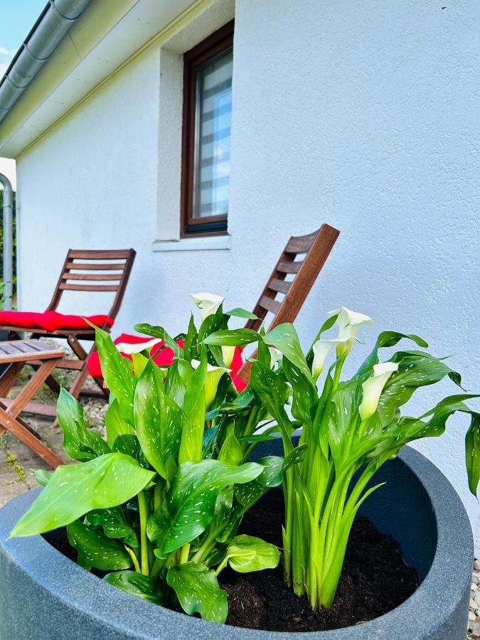 Appartement In - Brinckmansdorf